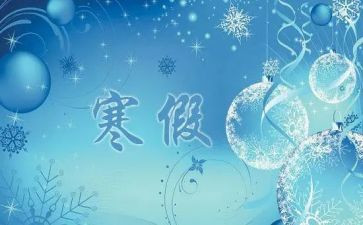 2023个人寒假实践总结5篇