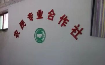 合作社年度工作总结7篇