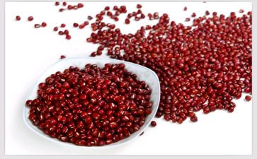 红豆作文600字6篇