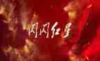 红星照读后感作文600字8篇