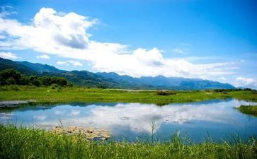 护环境演讲稿模板6篇