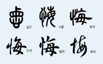 悔作文素材400字6篇
