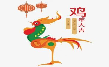 捉小鸡作文300字7篇