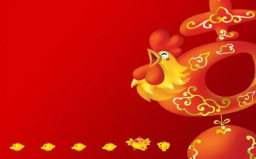 鸡的故事教案参考5篇