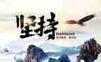 坚持与成长作文精选6篇
