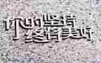 写坚持作文700字6篇