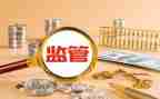 2024年监管工作计划参考5篇