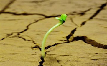 坚强乐观类的作文8篇