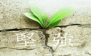 坚强成长作文6篇