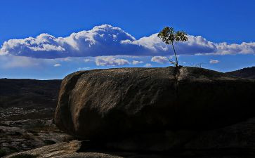 坚强乐观类的作文推荐6篇