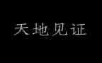 见证作文600字8篇