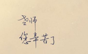 新分教师个人总结6篇