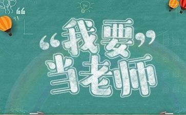 援教师工作总结模板6篇