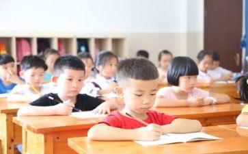 2023教师个人教学总结模板6篇