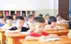教学工作月总结个人总结通用7篇