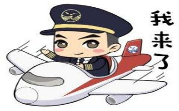 观中国机长观后感模板7篇