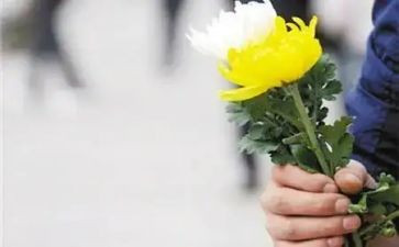 清明节祭奠英烈的演讲稿6篇