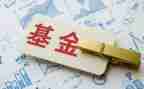 基金自查报告模板7篇