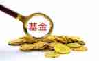 基金自查报告7篇