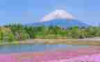 作文500字写景作文通用8篇