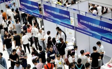 就业心得体会800字7篇