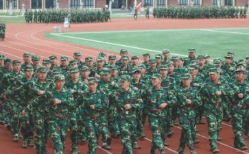 军训4天的心得体会参考8篇