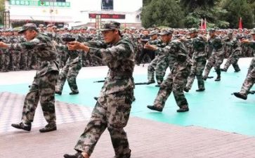 800子军训心得体会500字优质6篇