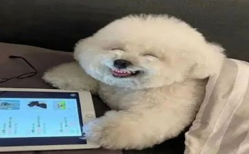 开心的叙事作文8篇