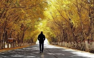 读了靠自己的读后感8篇