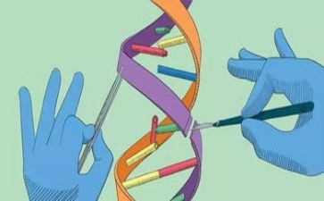 科学电的教案6篇