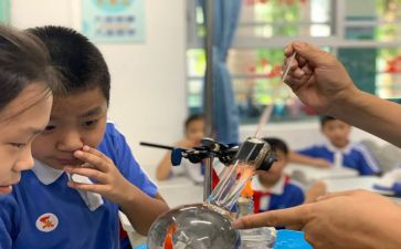 科学课大班教案优秀5篇