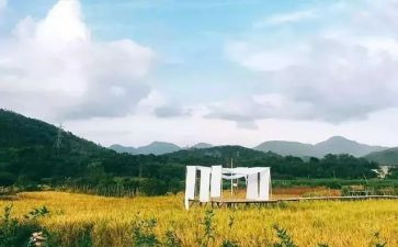 读书的苦与乐演讲稿600字8篇