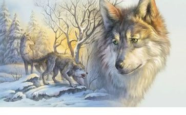 《狼王梦》沈石溪读后感8篇