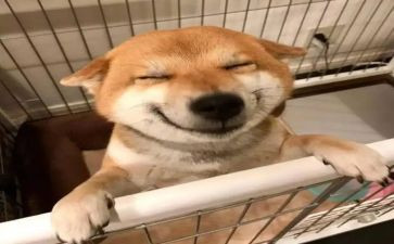 幼儿园小班音乐教案5篇