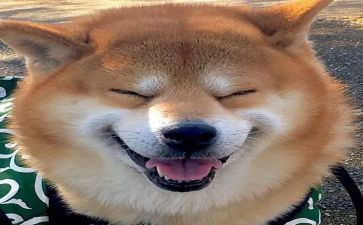 游迪士尼乐园的作文推荐7篇