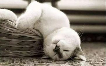 有关累的作文600字推荐8篇