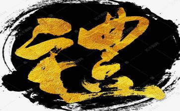 形象礼仪心得体会5篇
