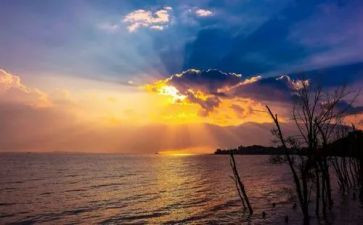 对校园留恋作文6篇