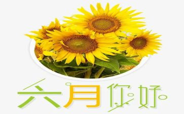 2024年六月作文模板8篇