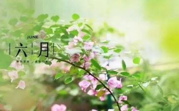2024年六月作文参考8篇