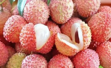 荔枝蜜读后感8篇