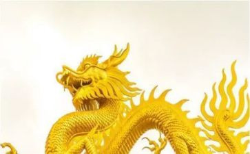 金华双龙洞作文6篇