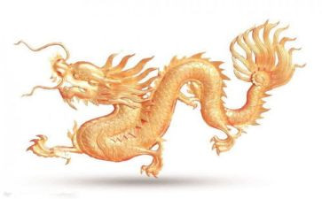 变色龙,读后感参考7篇
