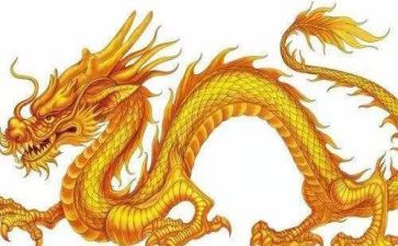 读了大头龙的读后感6篇