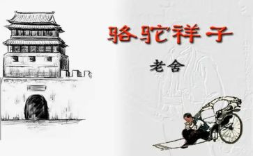 骆驼教学反思优秀5篇