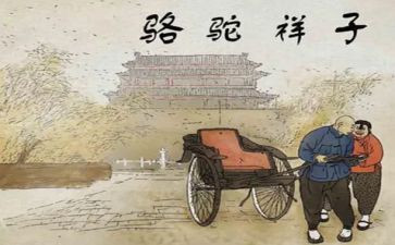 骆驼教学反思8篇