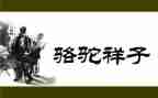 骆驼教学反思参考6篇