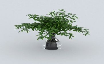 绿化园林工程合同5篇
