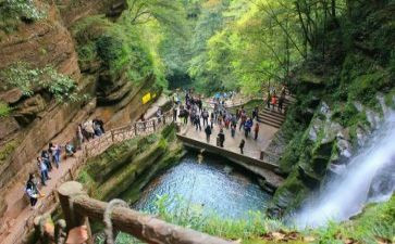 黑旅游工作总结模板5篇
