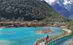 135旅游工作总结模板8篇